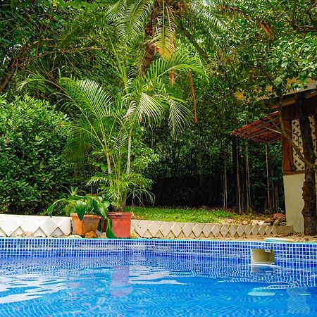 Hacienda Sarah Villa Nosara Eksteriør billede